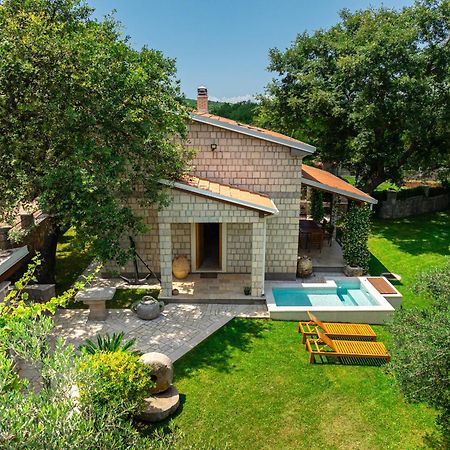 Villa Helena 科托尔 外观 照片