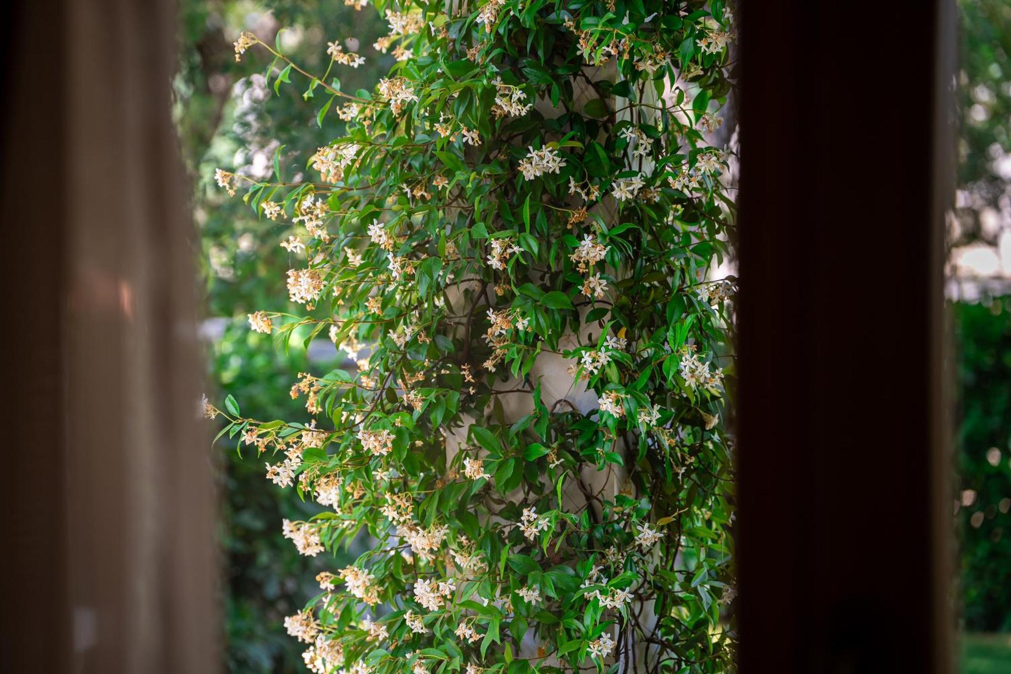 Villa Helena 科托尔 外观 照片